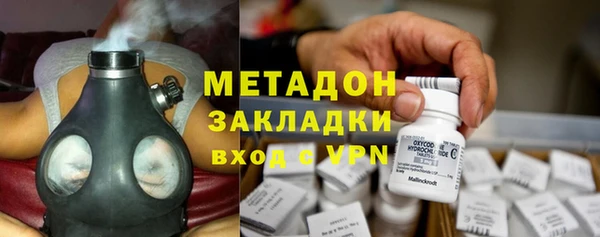прущие грибы Куйбышев