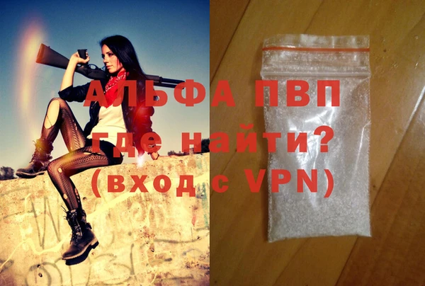 прущие грибы Куйбышев