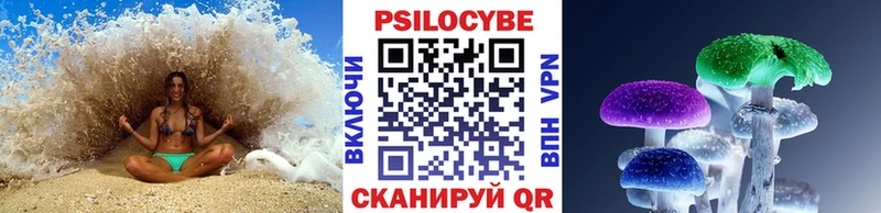 Галлюциногенные грибы Psilocybine cubensis KRAKEN вход Новопавловск